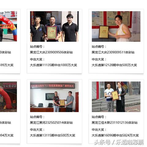 告发：新澳资料准确资料公开同新澳2025年天天开好彩大乐透,深入数据执行策略-留心欺诈套路